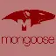 javascript-mongoose